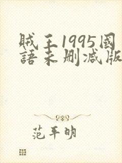 贼王1995国语未删减版