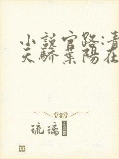 小说官路:青云天骄叶阳在线阅读