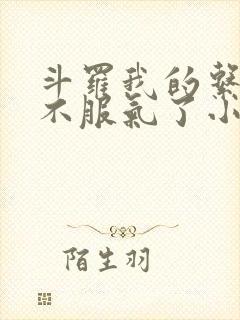 斗罗我的系统又不服气了小说