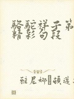 骆驼祥子第五章精彩句段