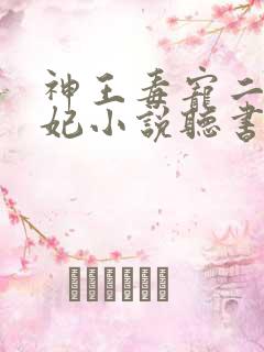 神王毒宠二嫁王妃小说听书