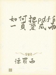 如何把pdf的一页变成两页