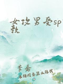 女攻男受sp调教