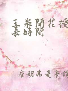 玉米开花授粉多长时间