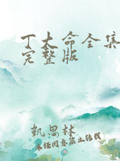 丁大命全集免费完整版