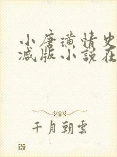 小唐璜情史无删减版小说在线阅读
