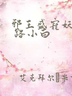 邪王盛宠妖孽妃 路小白
