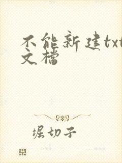 不能新建txt文档