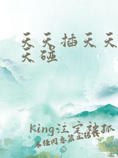 天天插天天操天天碰