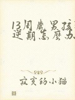 13周岁男孩叛逆期怎么办