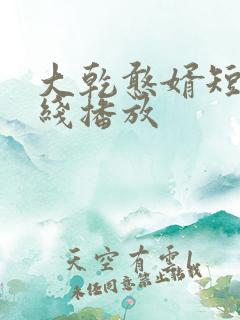 大乾憨婿短剧在线播放
