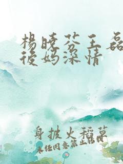 杨晓芬王磊小说后妈深情