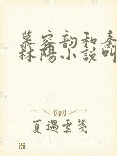 慕容韵和秦墨浓林阳小说叫什么