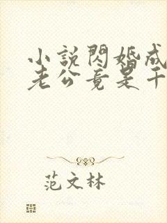 小说闪婚成宠,老公竟是千亿大佬
