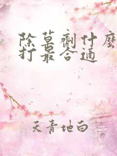 除草剂什么时间打最合适