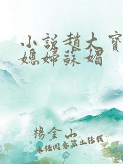 小说赵大宝及儿媳妇苏媚