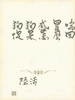 狗狗感冒喘气急促是怎么回事