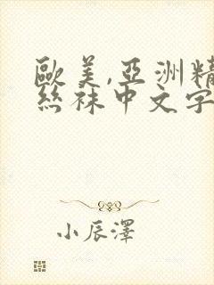 欧美,亚洲精品丝袜中文字幕