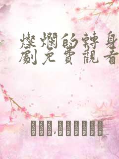灿烂的转身电视剧免费观看全集高清