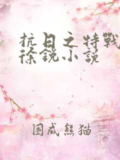 抗日之特战兵王徐锐小说