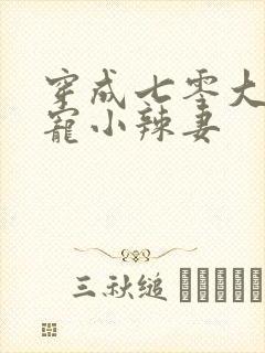 穿成七零大佬娇宠小辣妻