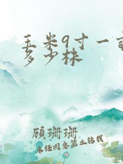 玉米9寸一亩地多少株