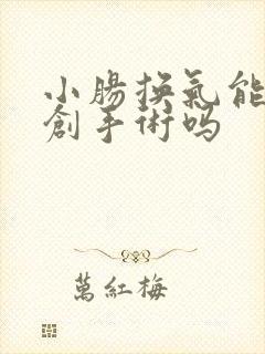 小肠换气能做微创手术吗