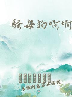 骚母狗啊啊啊啊
