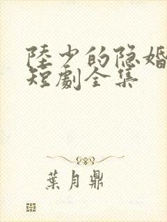 陆少的隐婚罪妻短剧全集