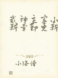 武神主宰小说最新章节更新
