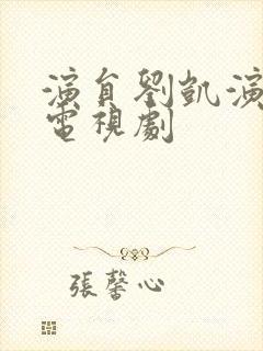 演员刘凯演过的电视剧