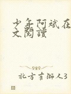 少年阿斌在线全文阅读