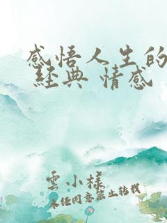 感悟人生的句子 经典 情感