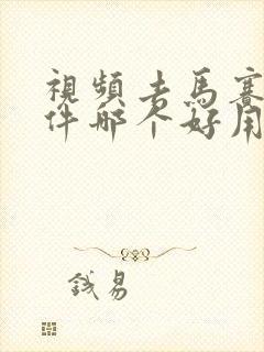 视频去马赛克软件哪个好用