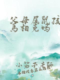 父母属鼠孩子属马相克吗