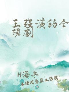 王强演的全部电视剧