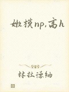 嫩模np,高h