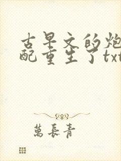 古早文的炮灰女配重生了txt