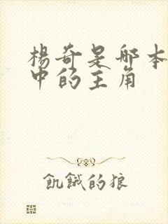 杨奇是哪本小说中的主角