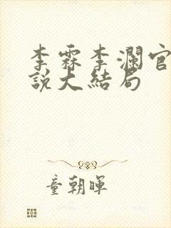 李霖李澜官场小说大结局