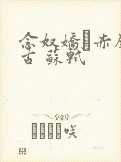 念奴娇·赤壁怀古 苏轼