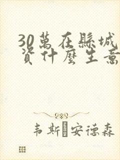 30万在县城投资什么生意