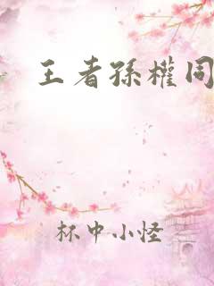 王者孙权同人图