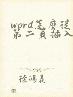 word怎么从第二页插入页码