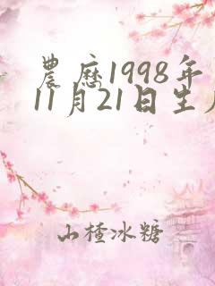 农历1998年11月21日生辰八字