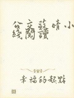 公交苏晴小说在线阅读