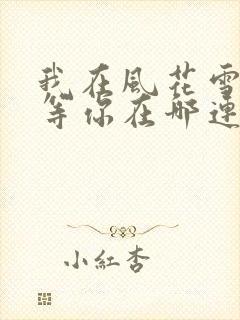 我在风花雪月里等你在哪连载