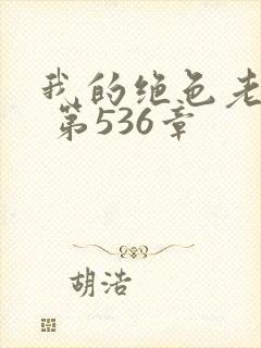我的绝色老板娘 第536章