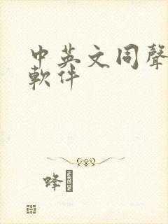 中英文同声翻译软件
