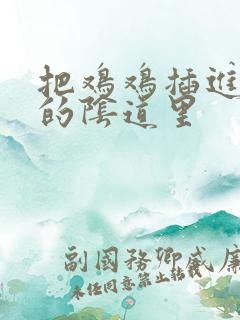 把鸡鸡插进女人的阴道里